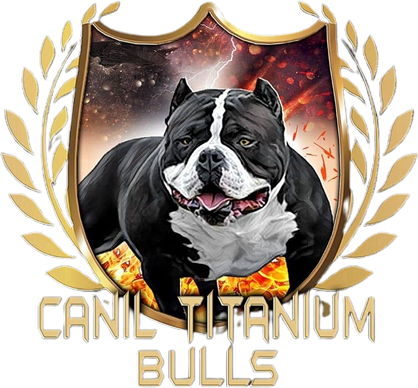 Canil Titanium Bulls